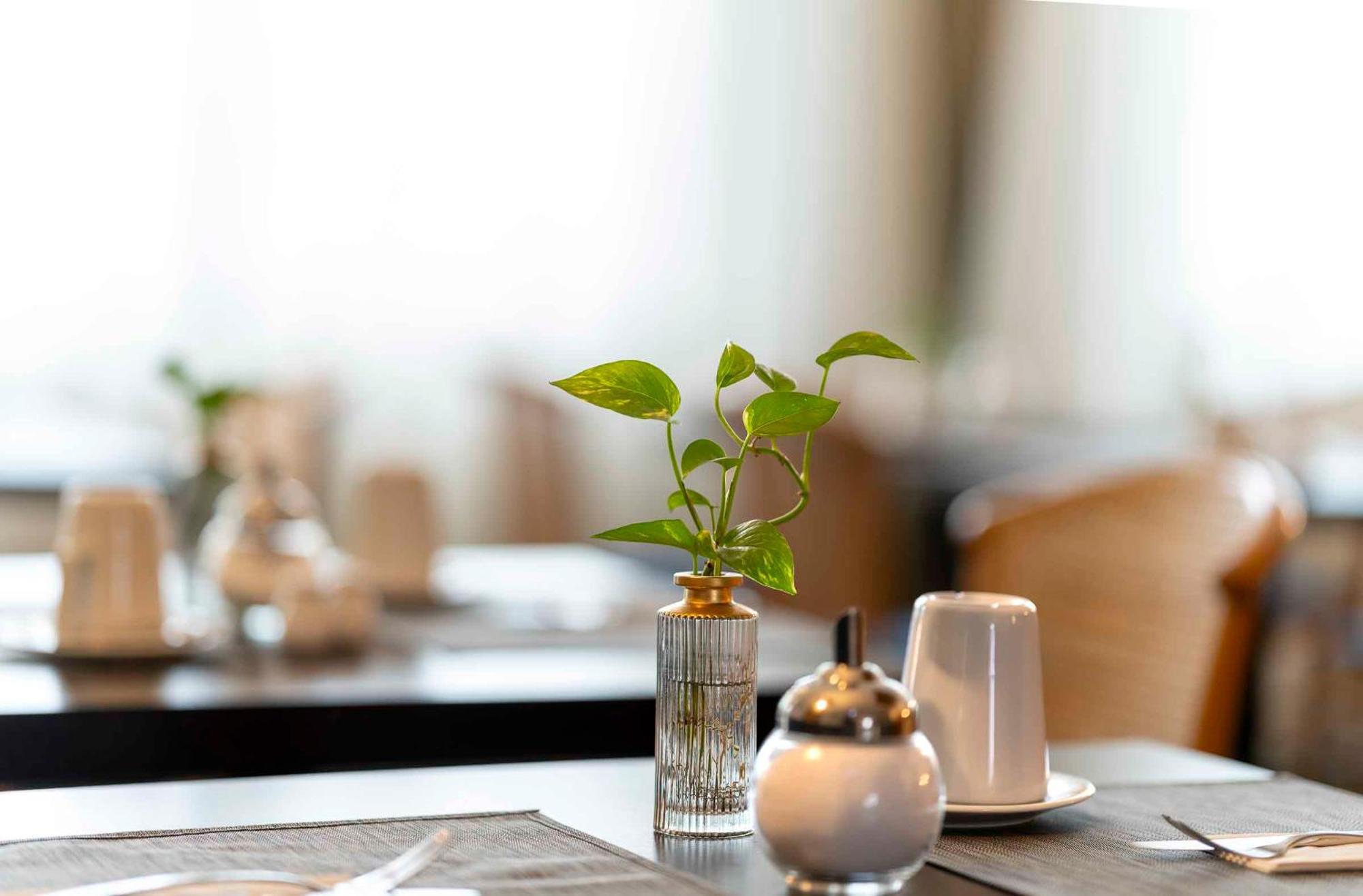 Plaza Inn Blankenburg Ditzingen, Sure Hotel Collection المظهر الخارجي الصورة