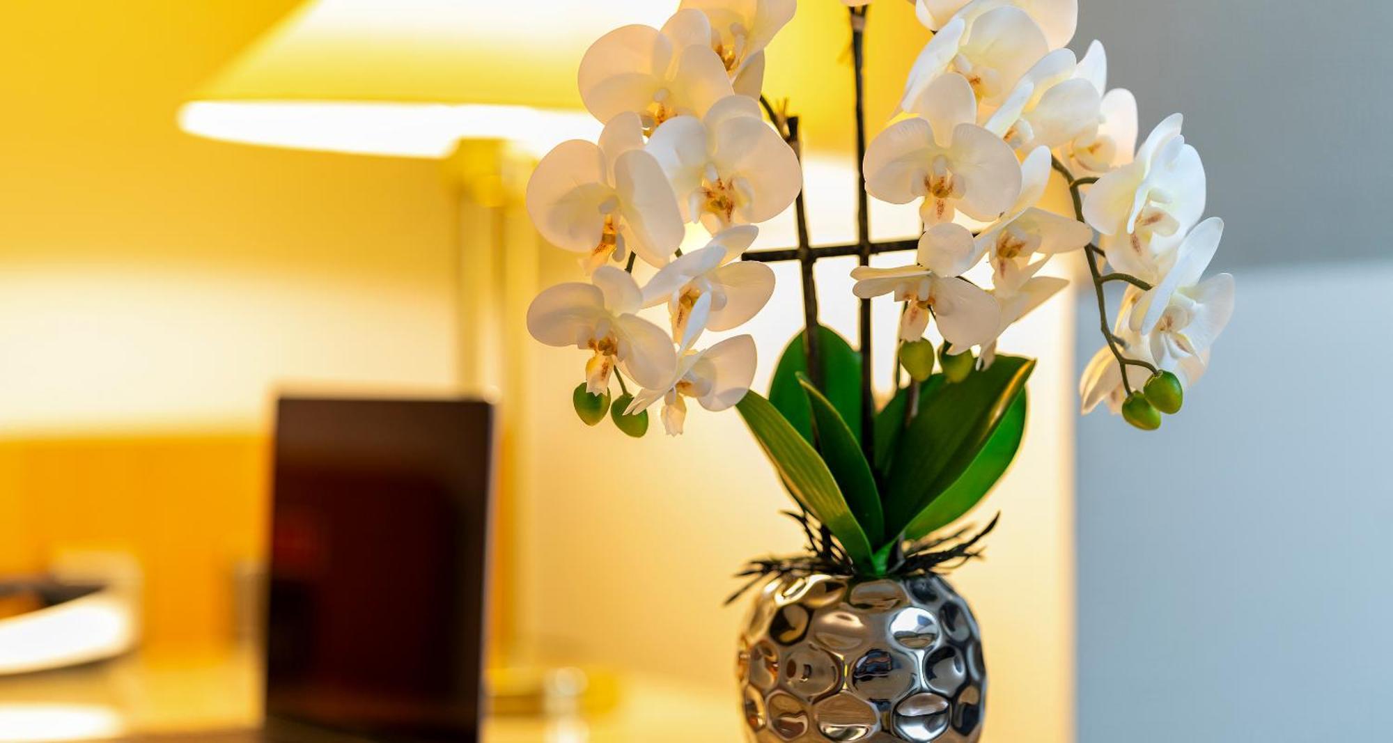 Plaza Inn Blankenburg Ditzingen, Sure Hotel Collection المظهر الخارجي الصورة